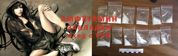 крисы Коряжма