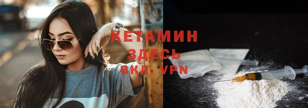 крисы Коряжма