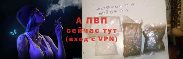 крисы Коряжма