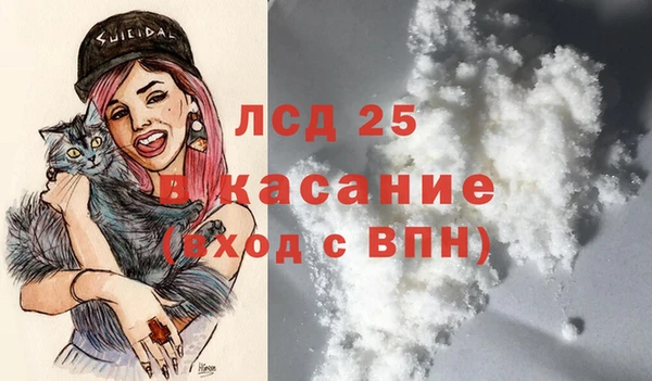 крисы Коряжма