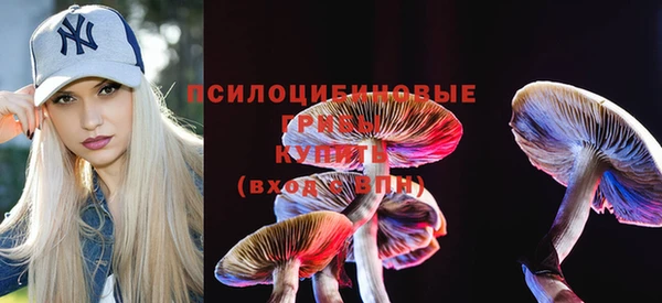 крисы Коряжма