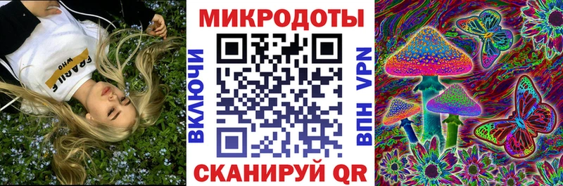 Купить где Богучар Галлюциногенные грибы Psilocybine cubensis